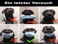 Ein letzter Erkl�rungsversuch
