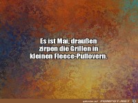 Die Grillen frieren