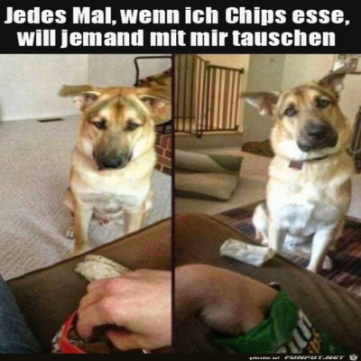 Immer-soll-man-teilen.jpg von Lina