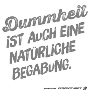 Dummheit.jpg auf www.funpot.net