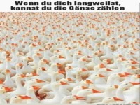 Wenn dir langweilig ist