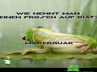 Auf Di�t