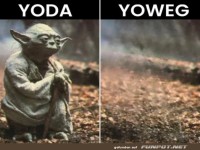 Yoda vs. Yoweg Meme