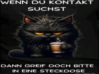 Sarkastische Katze mit Kaffee