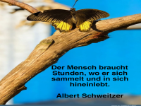 der mensch braucht stunden