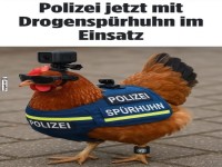 Polizei startet Einsatz mit Drogensprhuhn