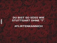 Lustiger Flirtspruch auf Rosenhintergrund