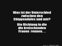 Witz �ber Chippendales und kreischende Frauen