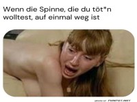 Spinne ist weg