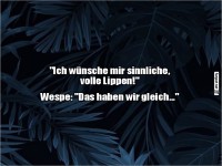 Wenn W�nsche bei Wespen falsch ankommen