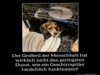 Neueste Geschirrsp�ltechnik: Hundskraft!
