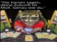 Waschb�r-Weissagung: Keine rosige Zukunft!