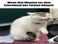 Wenn f�nf Minuten vor Feierabend einer anruft