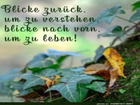 R�ckblick und Ausblick: Naturweisheit pur!