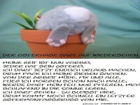 Der Osterhase sagt tschüss