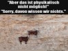 weiter