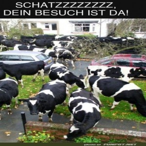 Bitte-die-Milchstraße-frei-machen!.jpg von Elijas1995