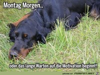 Montag