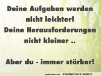 Deine Aufgaben