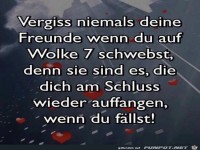 vergiss niemals deine Freunde.....