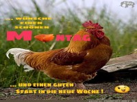 Wuensche einen schoenen Montag