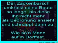 Vergleich Fisch und Mann