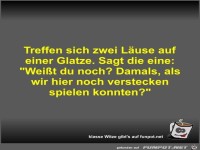 Treffen sich zwei Läuse auf einer Glatze