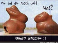 Mir tut der Arsch weh