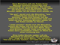 Eine Blondine will die Katze ihres Mannes heimlich...