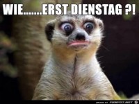 Dienstag