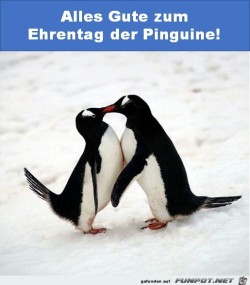 Pinguine.jpg auf www.funpot.net