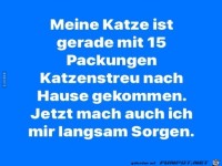 Meine Katze kam gerade...
