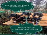 Wieso tragen diese Menschen pltzlich Maulkoerbe