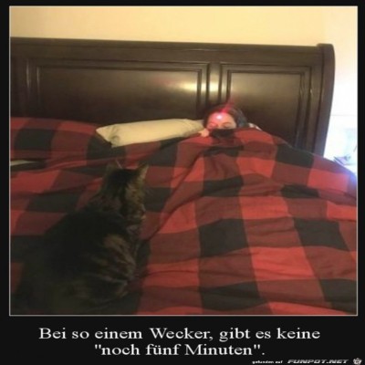 Da-steht-man-lieber-sofort-auf.jpg von Clara