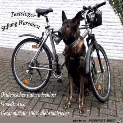 Diebstahlsicherung.jpg von Lina