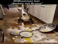 Was f�r eine Sauerei