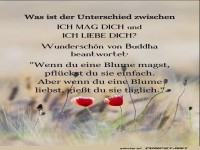 Was ist der Unterschied