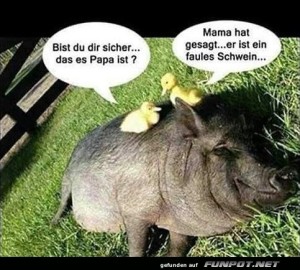 Das-ist-der-Papa.jpg auf www.funpot.net