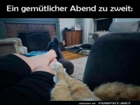 Katzen und Socken: Ein Duo macht Feierabend!