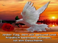 Friedenstaube bei Sonnenuntergang