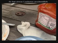 Der neugierige Tischdetektiv!