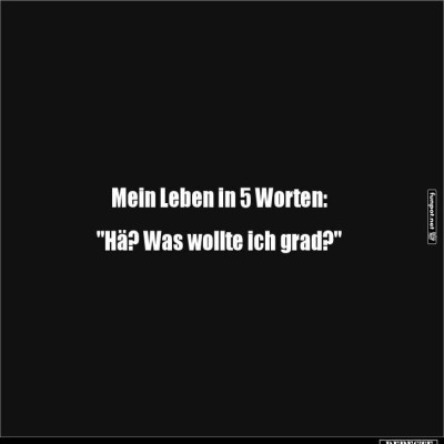 Der-Moment-der-totalen-Verwirrung.jpg von Larissa-1989