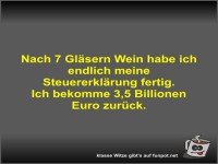 Nach 7 Gl�sern Wein habe ich endlich meine Steuererkl�rung