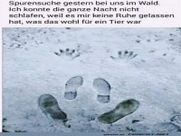 Was war das f�r ein Tier?