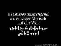 Autofahrer-Champion im Alltagskampf