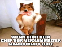 Der beste Kollege im B�ro!