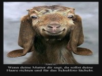 Schulfoto-Chic: Ziegen-Edition