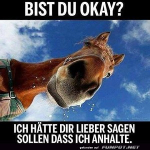 bist-du-okay.jpg von Nachtstern