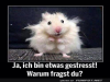 weiter
