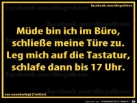 diegeilsten im Buero